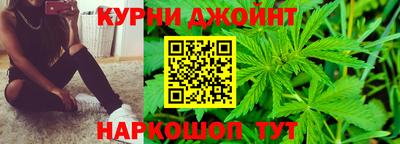гидропоника Будённовск