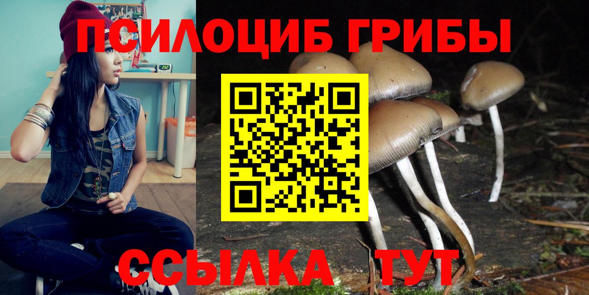 Галлюциногенные грибы Cubensis Салават