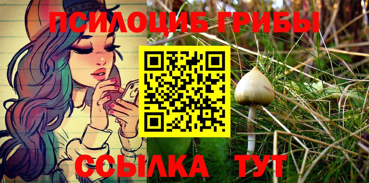 Салават  Псилоцибиновые грибы Cubensis  Вход с VPN 